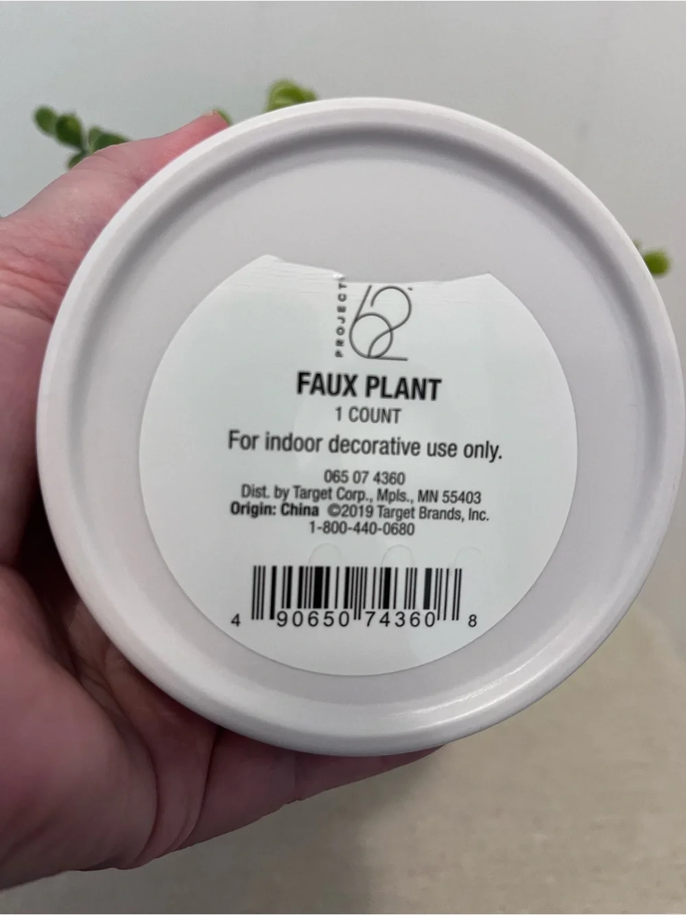 Project 62 Faux Plant